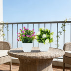 Set of 4 Flower Plants & white pots