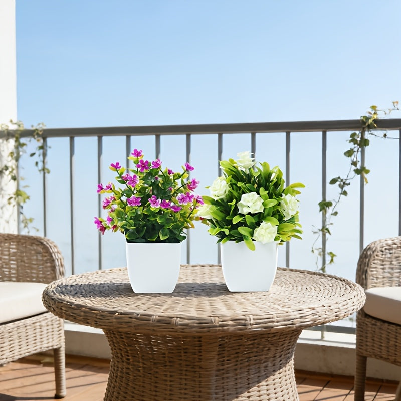 Set of 4 Flower Plants & white pots