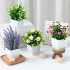 Set of 4 Flower Plants & white pots
