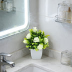 Set of 4 Flower Plants & white pots