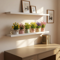 White shelves with potted plants and framed pictures on a wall.