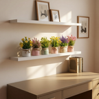 White shelves with potted plants and framed pictures on a wall.