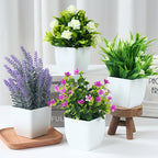 Set of 4 Flower Plants & white pots