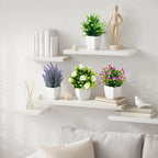 Set of 4 Flower Plants & white pots