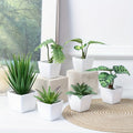Full set of 6 Artifical Plants Decor