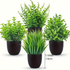 4 Green plants - Black or White Pots