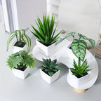 Full set of 6 Artifical Plants Decor